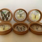Butterfly Tray and Matching Coasters