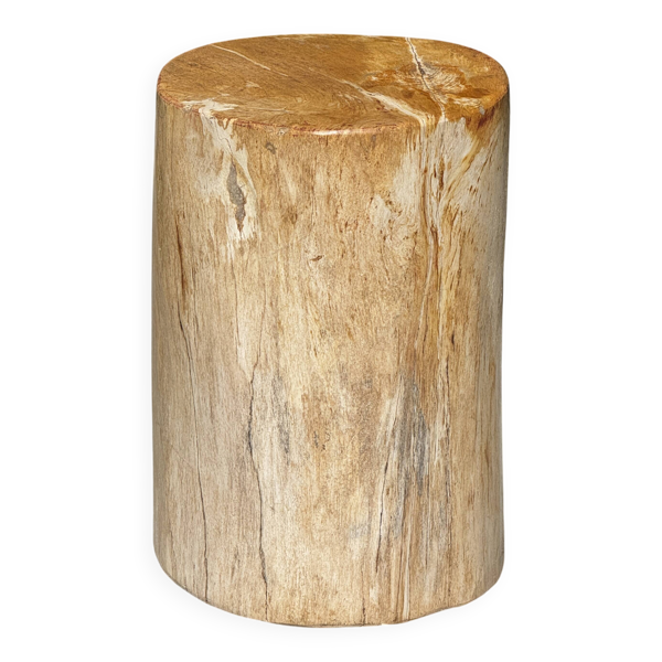 Petite table d'appoint en bois pétrifié orange H28 D18 - 3332