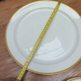 Haviland Limoges porcelain tableware