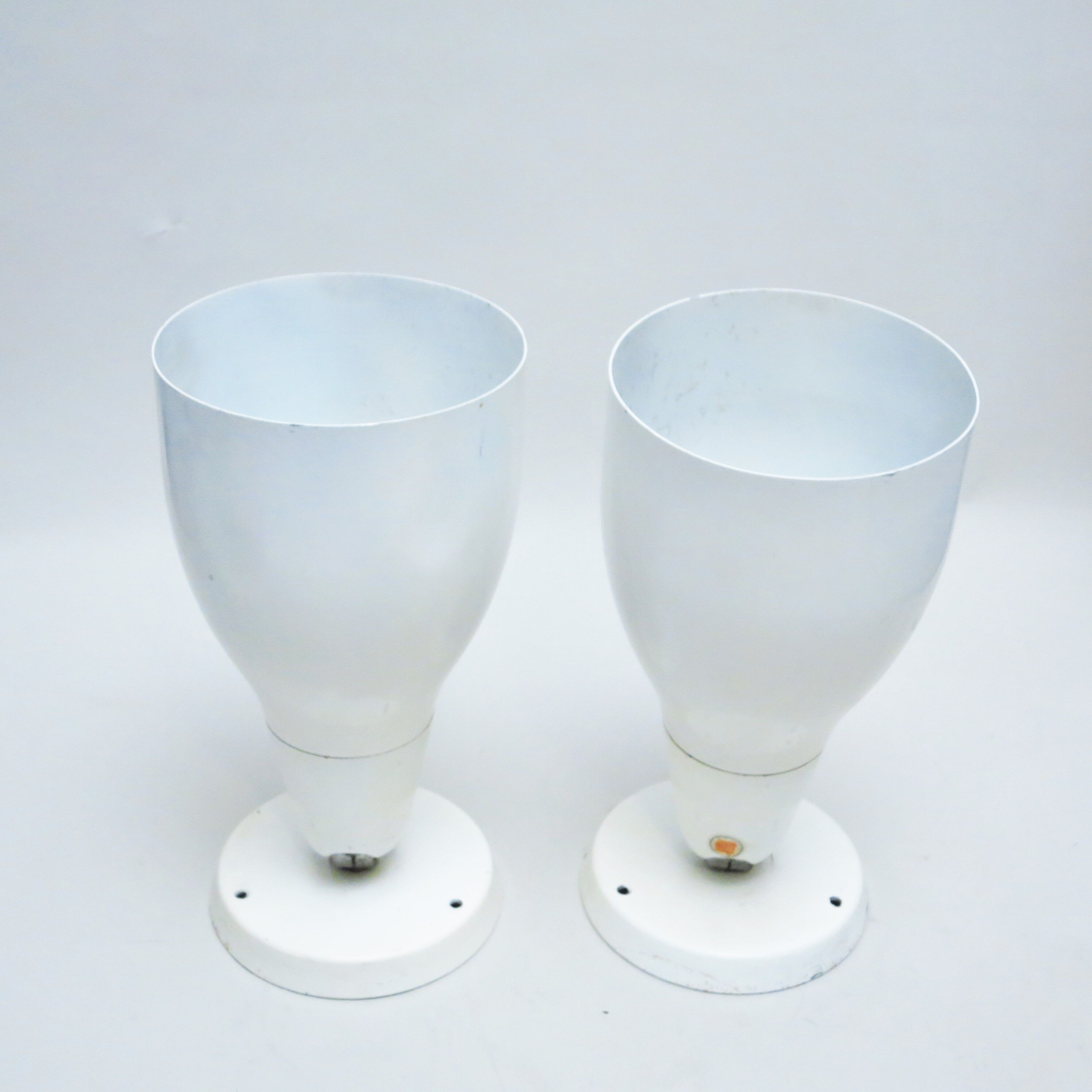 Pair of great white spots Lita