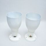 Pair of great white spots Lita