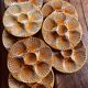 Italian oyster plates
