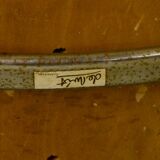 Set of 3 Dutch Design Arm Chairs by Gebroeders De Wit 1960s