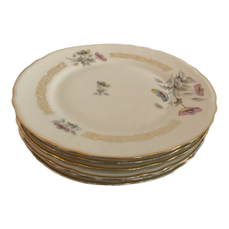 Assiettes plates