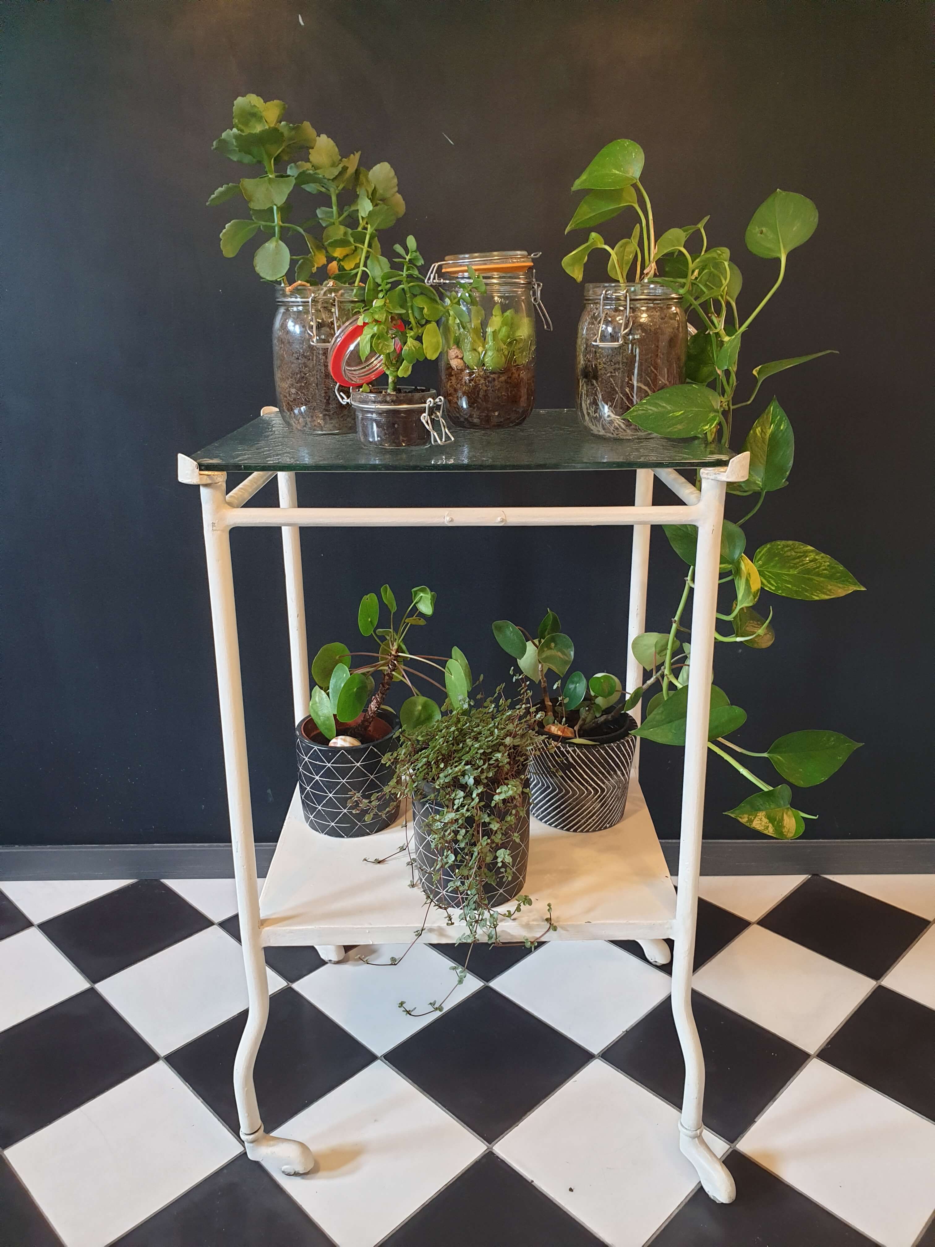 Service/ pedestal table