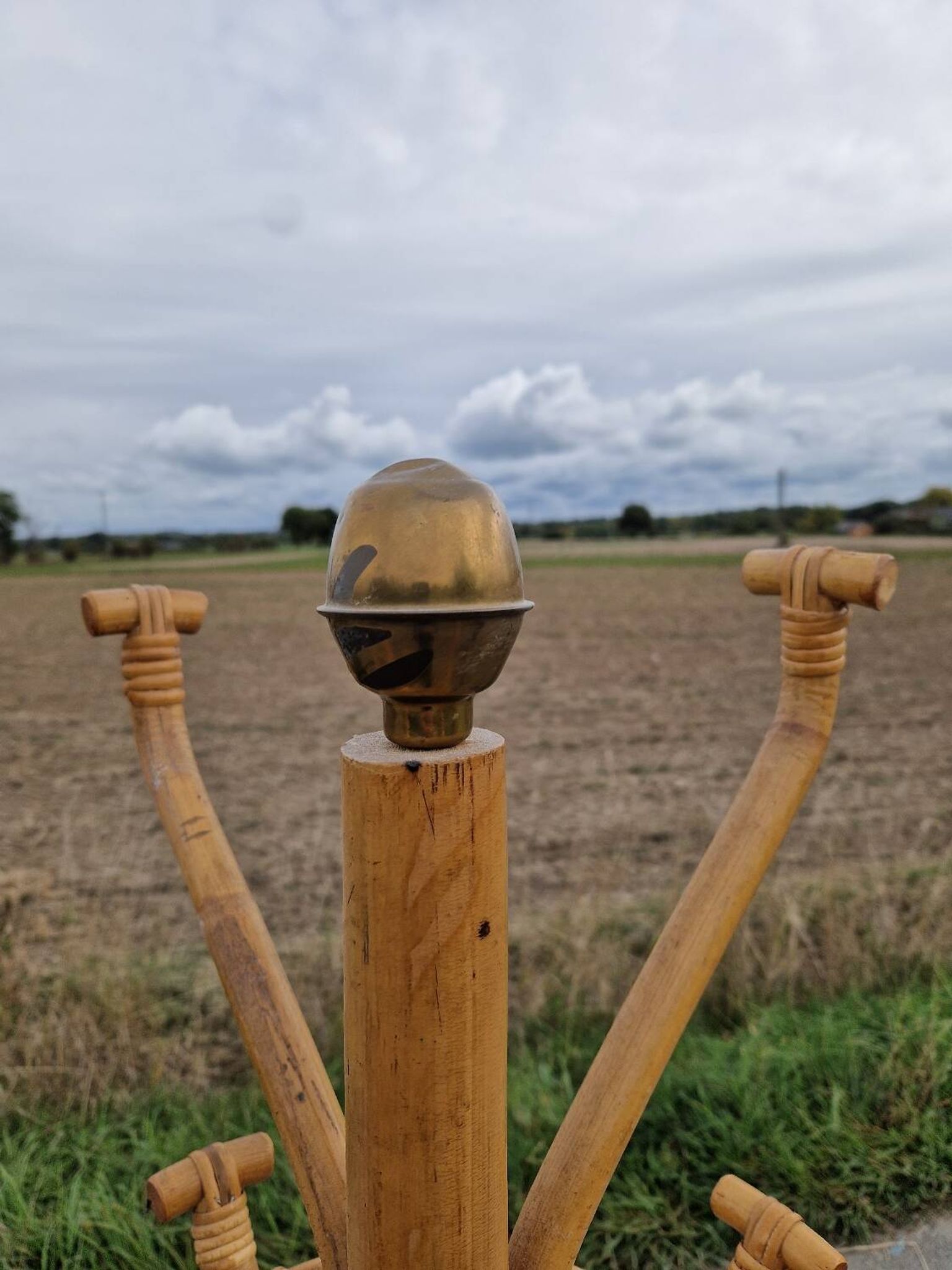 Vintage rattan parrot coat rack