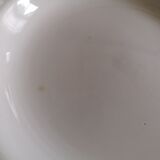 Set of 8 hollow earthenware plates Digoin Sarreguemines