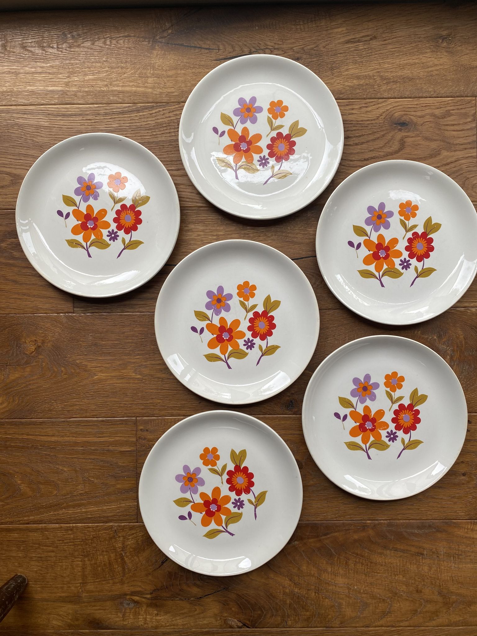6 old flat plates in French earthenware Moulin des loups