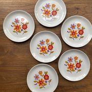 6 old flat plates in French earthenware Moulin des loups