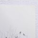 Lithograph by Alfred Meier 1972 "editing pins"