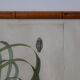 Cadre lithographie botanique plante exotique