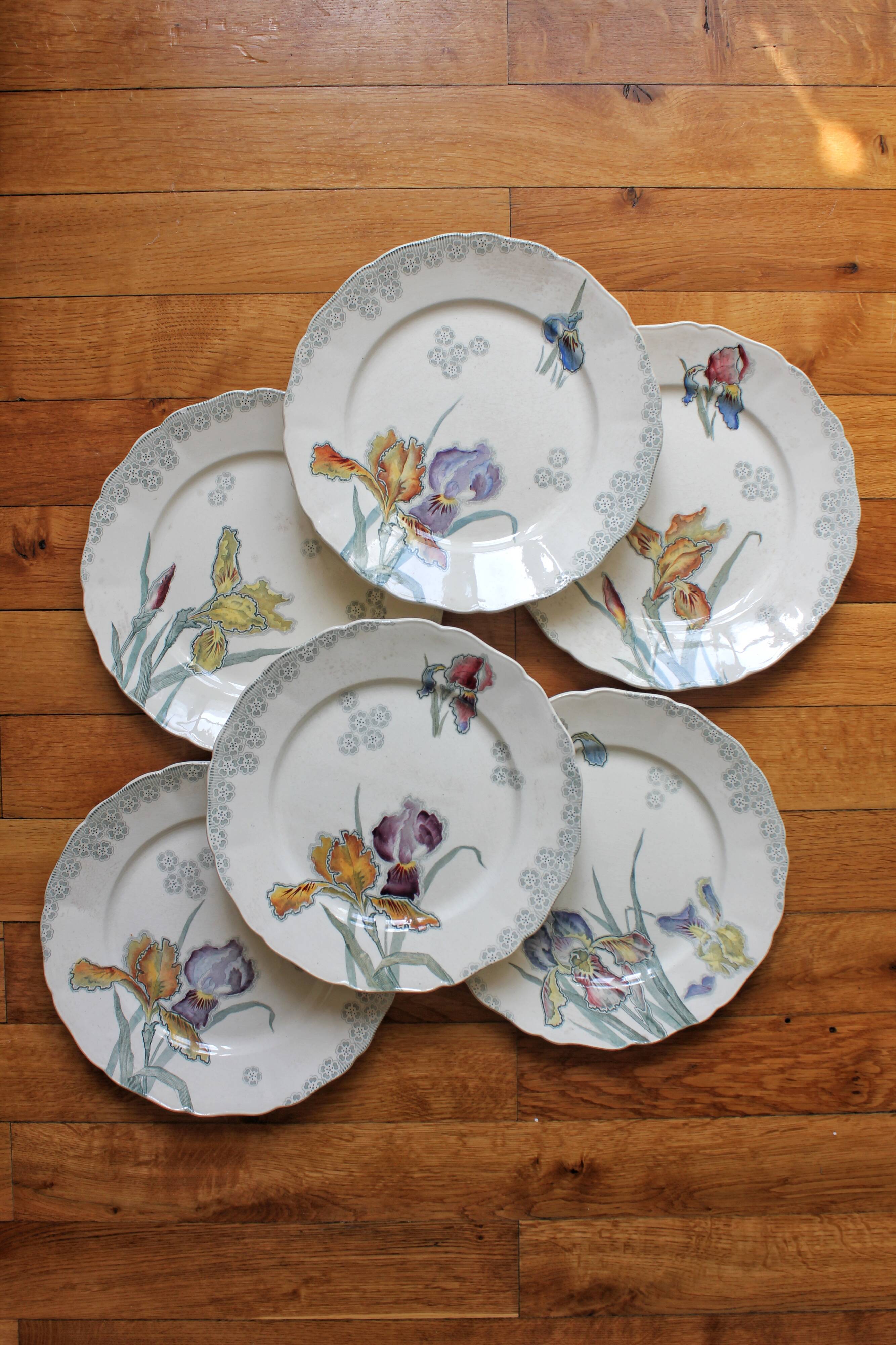 6 large flat plates in polychrome iron earth model "Iris" Choisy-le-Roi