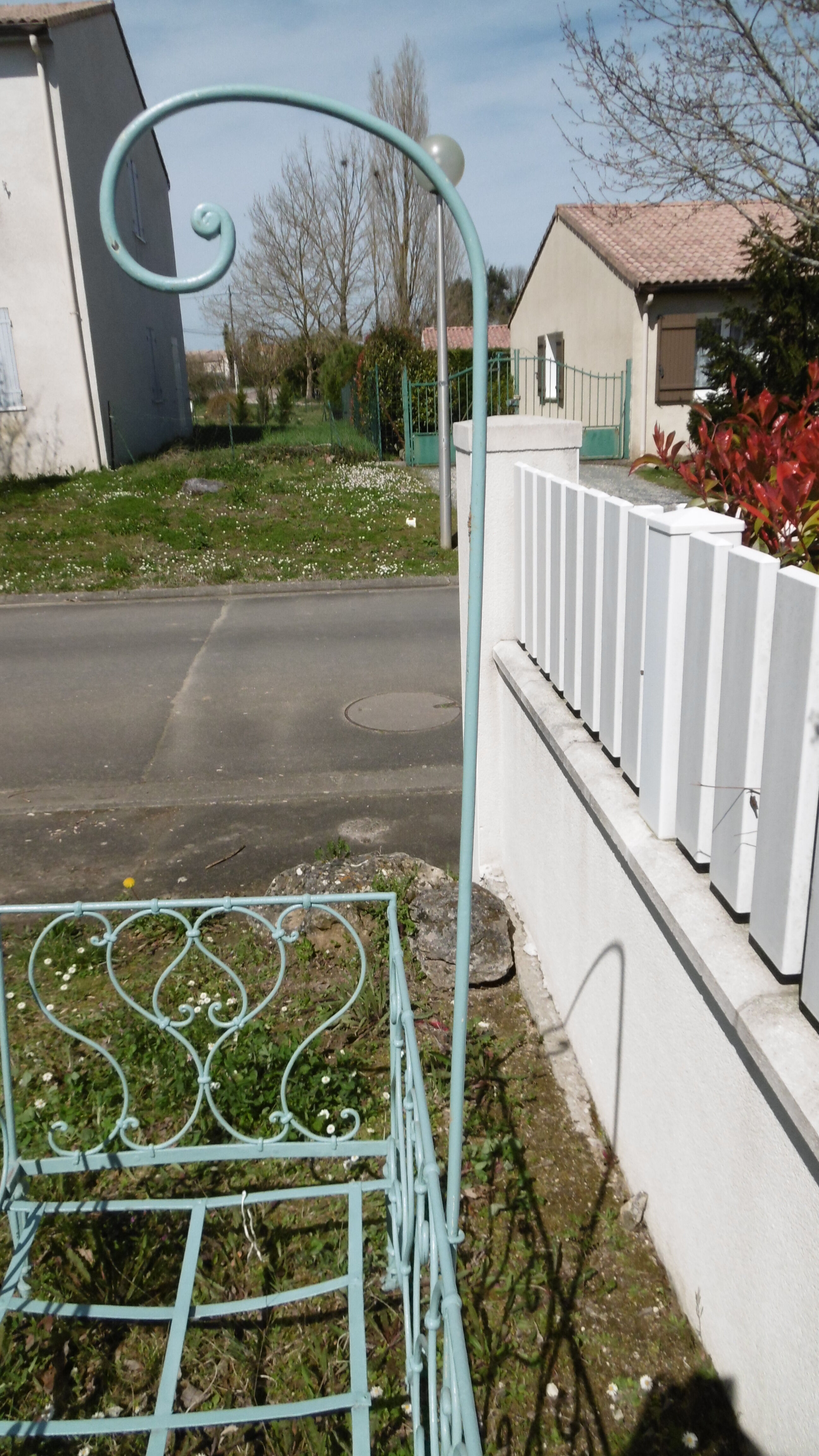 Wrought iron bed and his Swan-neck