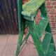 Old wooden stepladder