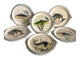 Céraflor Monaco table service