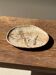 Small beige oval petrified wood dish or tray with crystals.