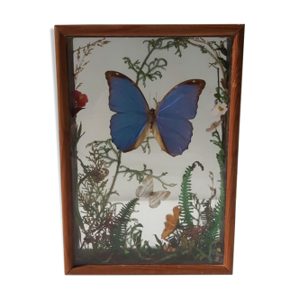 Boîte composition papillon bois et verre