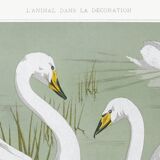 Poster “Wild Swan”, after an Art Nouveau lithograph from 1897