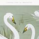 Poster “Wild Swan”, after an Art Nouveau lithograph from 1897