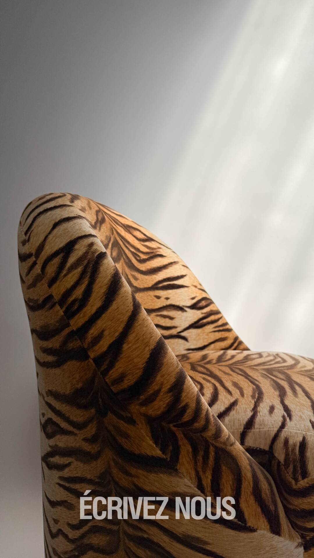 Zebra armchair