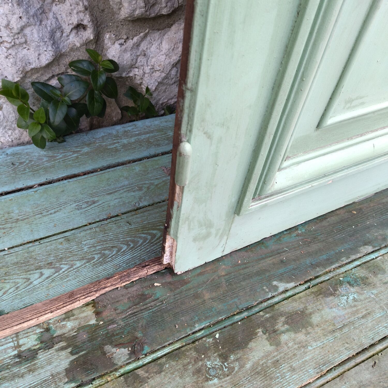 Pair of 19th century Haussmanian apartment doors