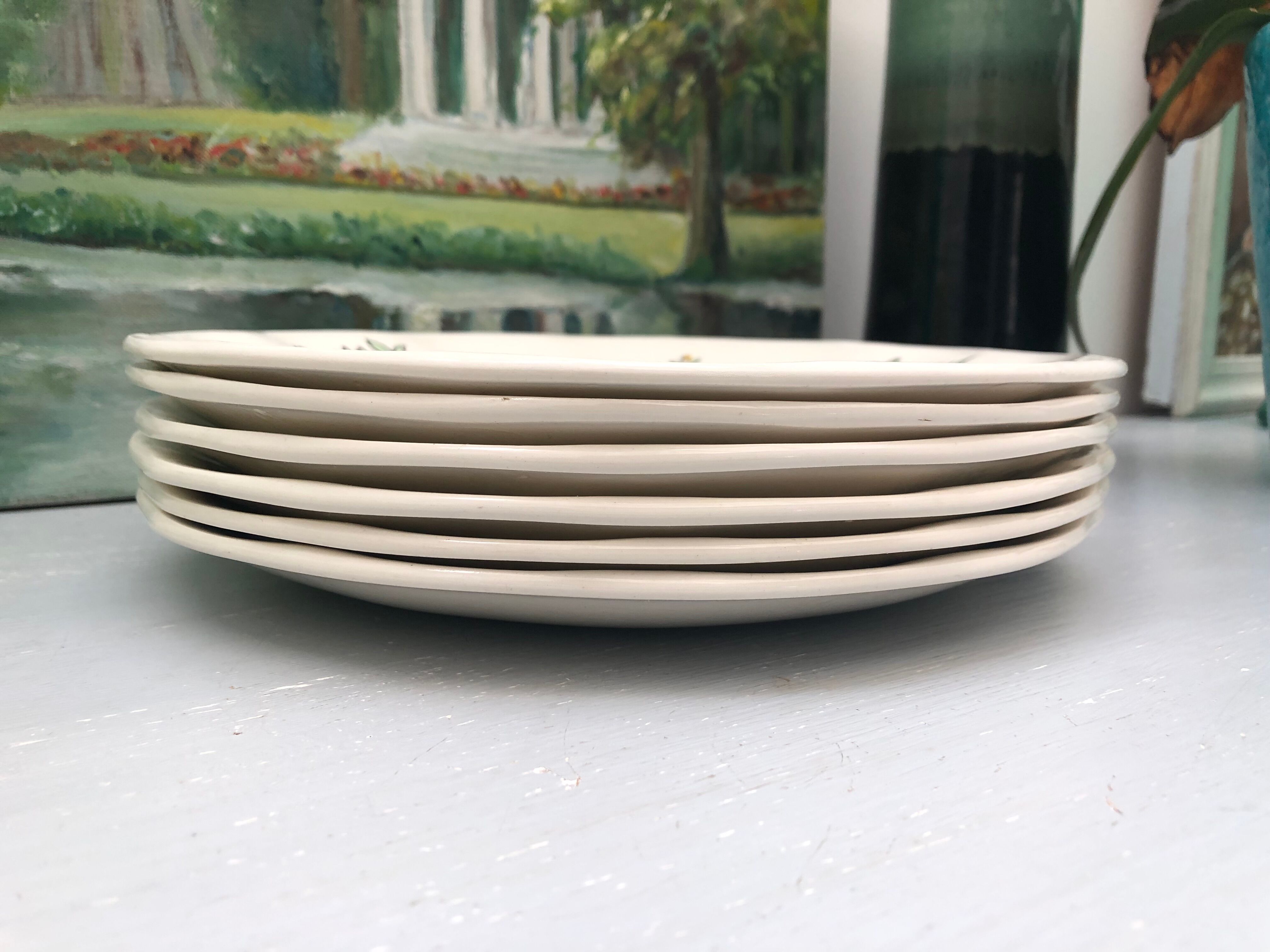 Lots of 6 flat plates model embrun, with floral motifs. Stamped Salins France
