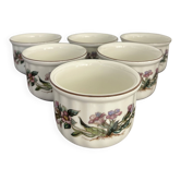 Set 6 ramequins Villeroy et Boch