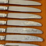 Christofle aria 12 dessert knives new condition