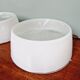 Holophane industrial ceiling light in white and transparent opaline glass (7 available)