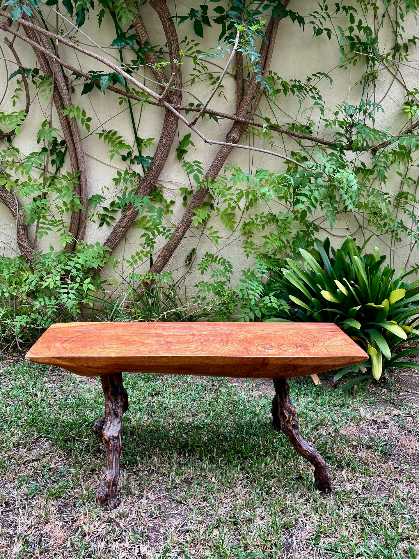 Brutalist bench made of vine and olive wood.
