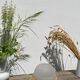 Antique white frosted glass or pendant lamp
