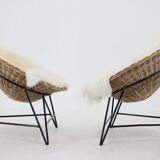 1960s Pair of Rattan Woven Basket Chair with Icelandic Sheepskin