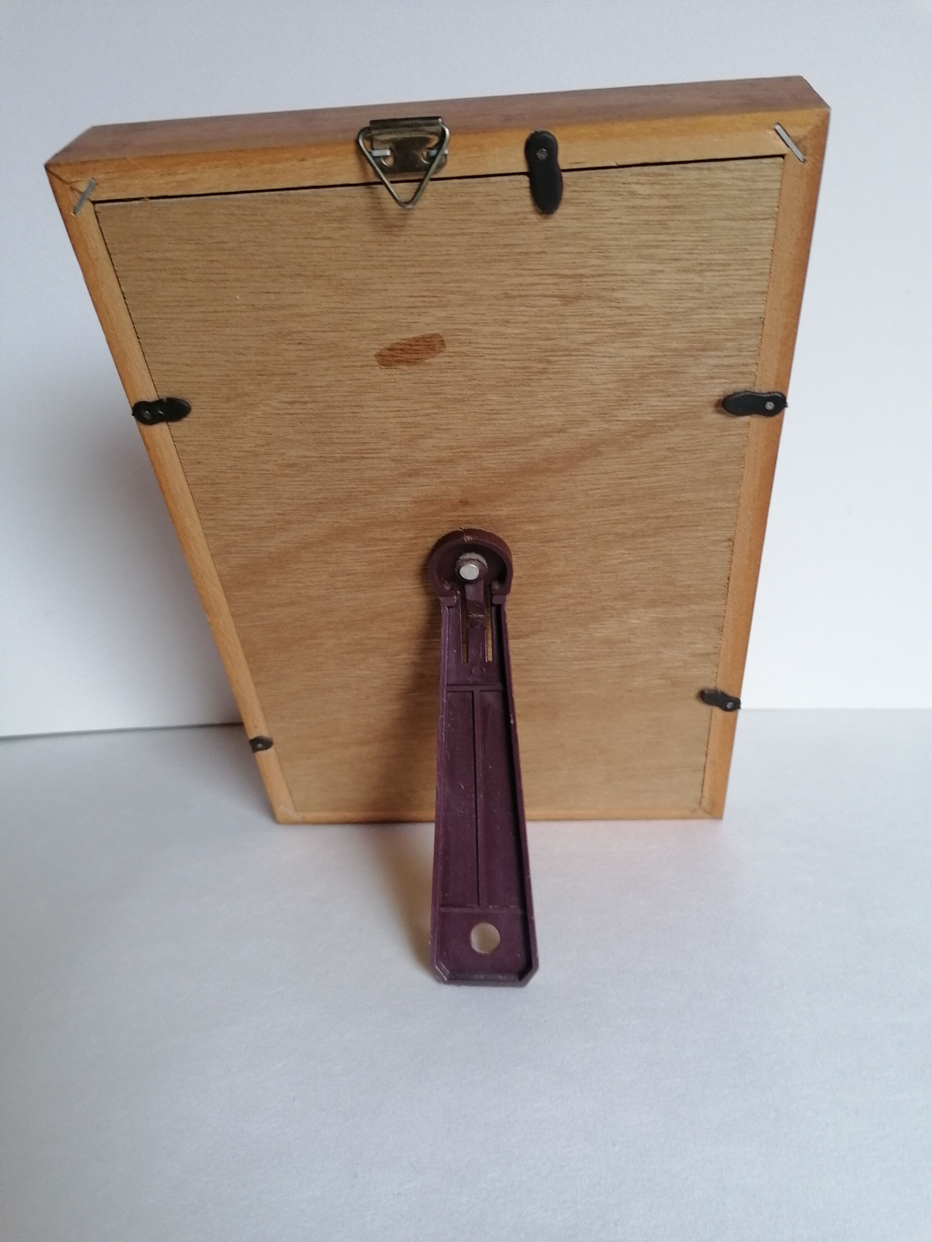 Butterflies taxidermy