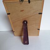 Butterflies taxidermy