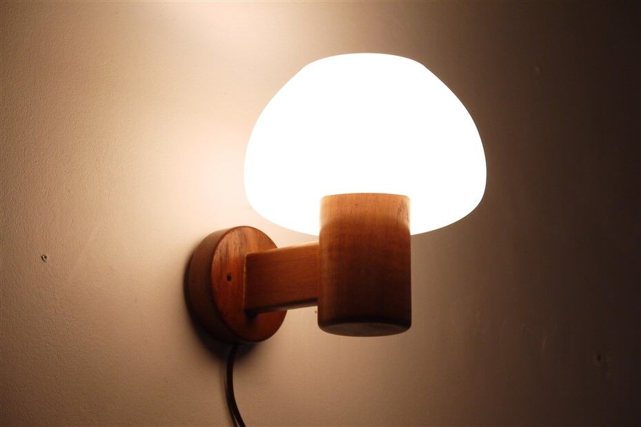 Vintage Danish wall lamp in teak and opaline 1960