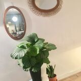 Mirror Scandinavian teak oval 36x57cm