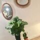 Mirror Scandinavian teak oval 36x57cm