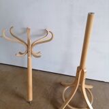 Baumann parrot coat holder