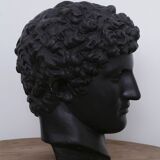 Greek head in waxed black plaster