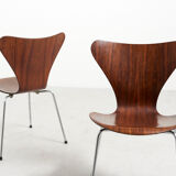 Pair of 'Series 7' Dinning Chairs by Arne Jacobsen for Fritz Hansen, Denmark - 1955