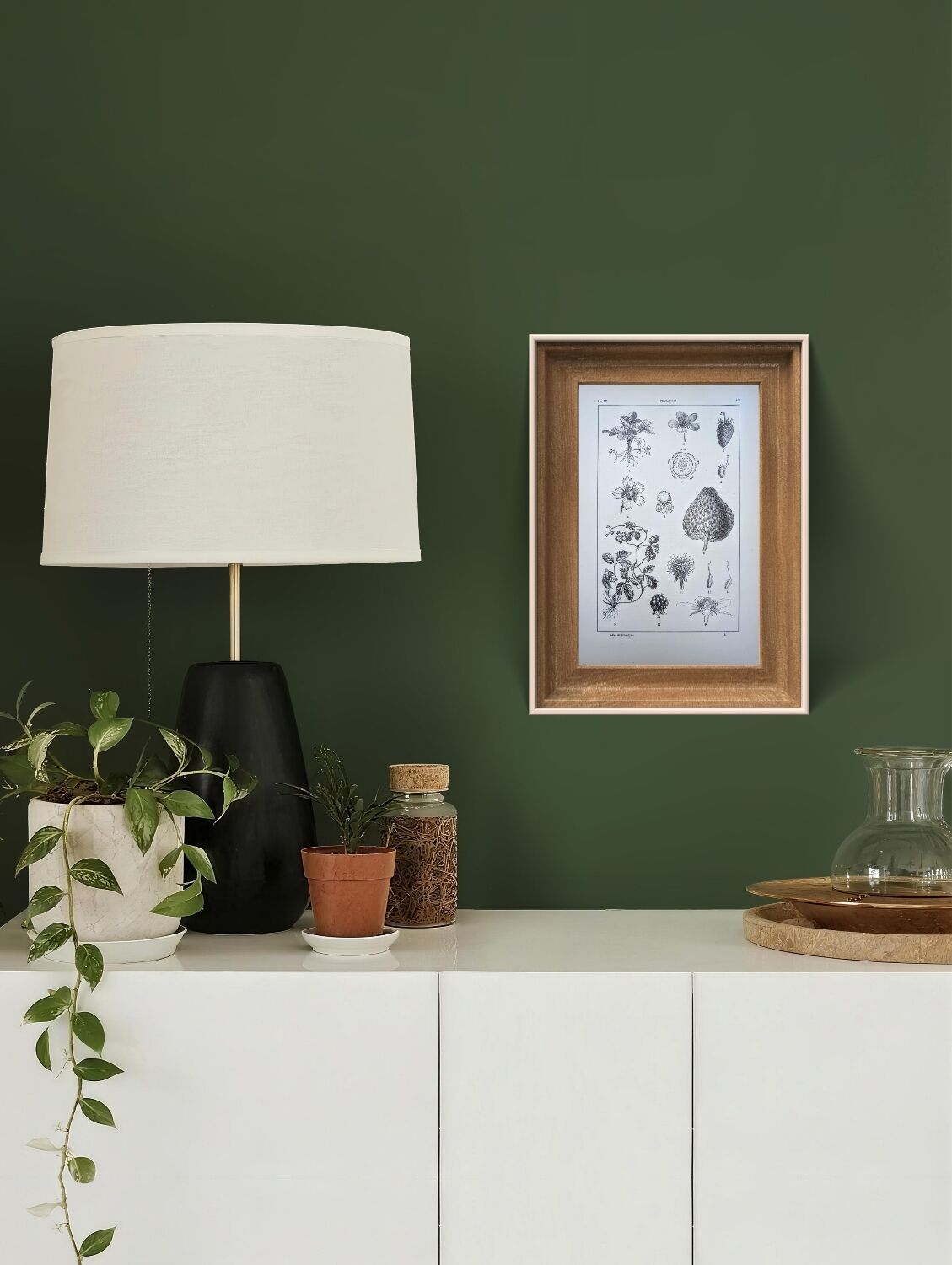 Vintage botanical plate printed in 1889, Fragariaceae.
