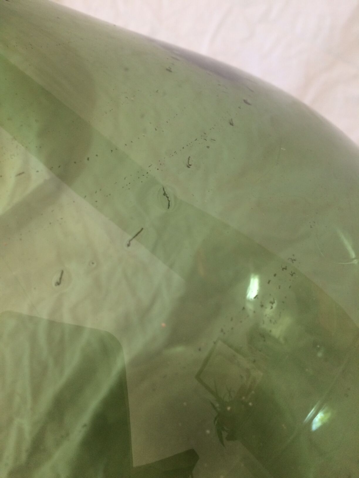 Demijohn, capacity estimated around 12 l