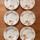 Set of 6 antique plates