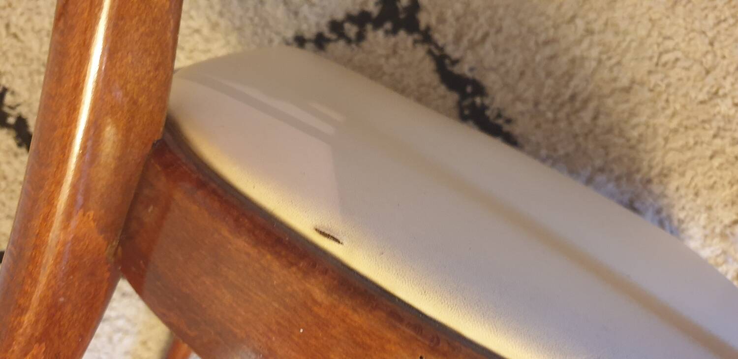 Six consorzio sedie friuli chairs