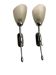 Chrome Satinated Glass Sconces Set of 2 1970’s