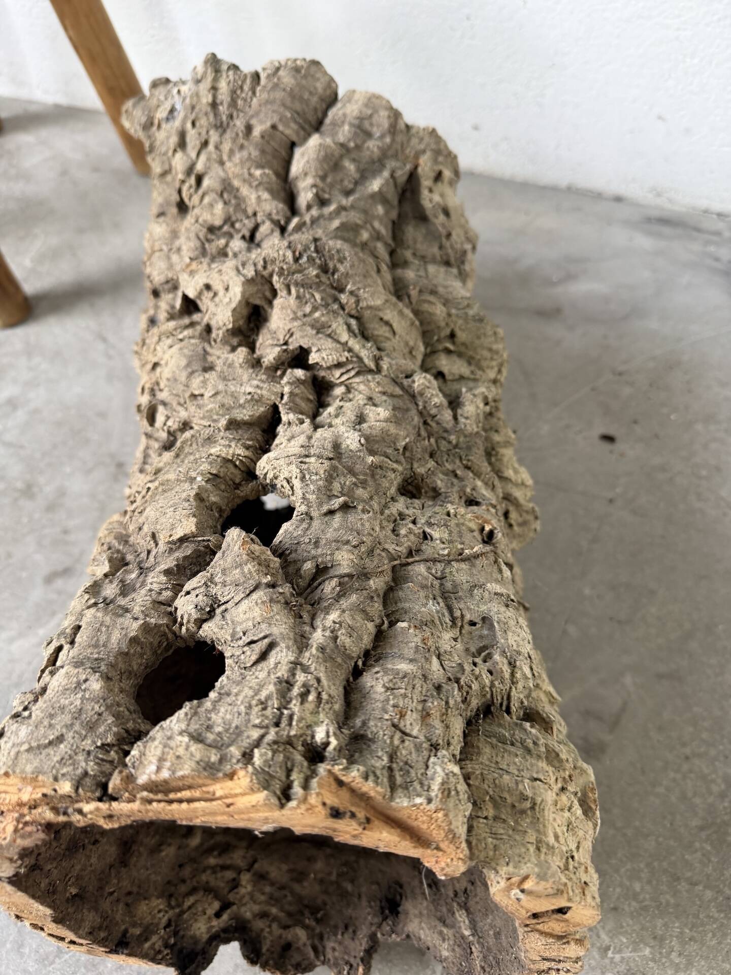 XL cork bark vase