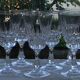 Set of 6 white wine glasses in arques crystal. pompadour model.