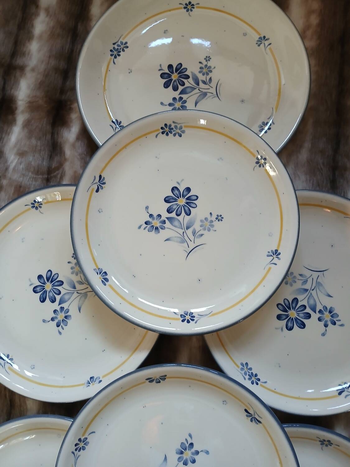 6 assiettes plates + 1 plat "Biltons " England 
