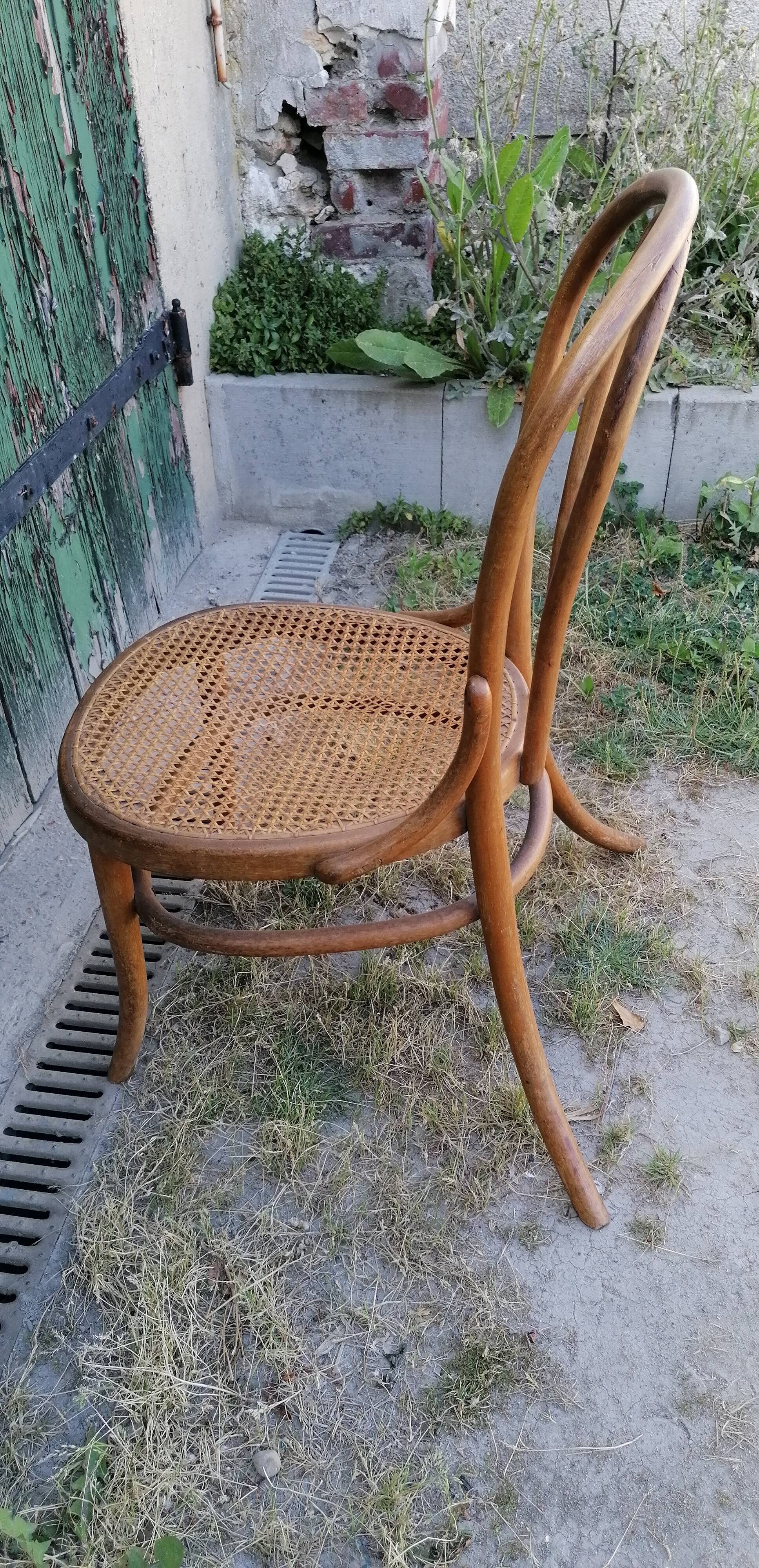 Fischel bistro chair, Austrian design 1900 curved wood and canning