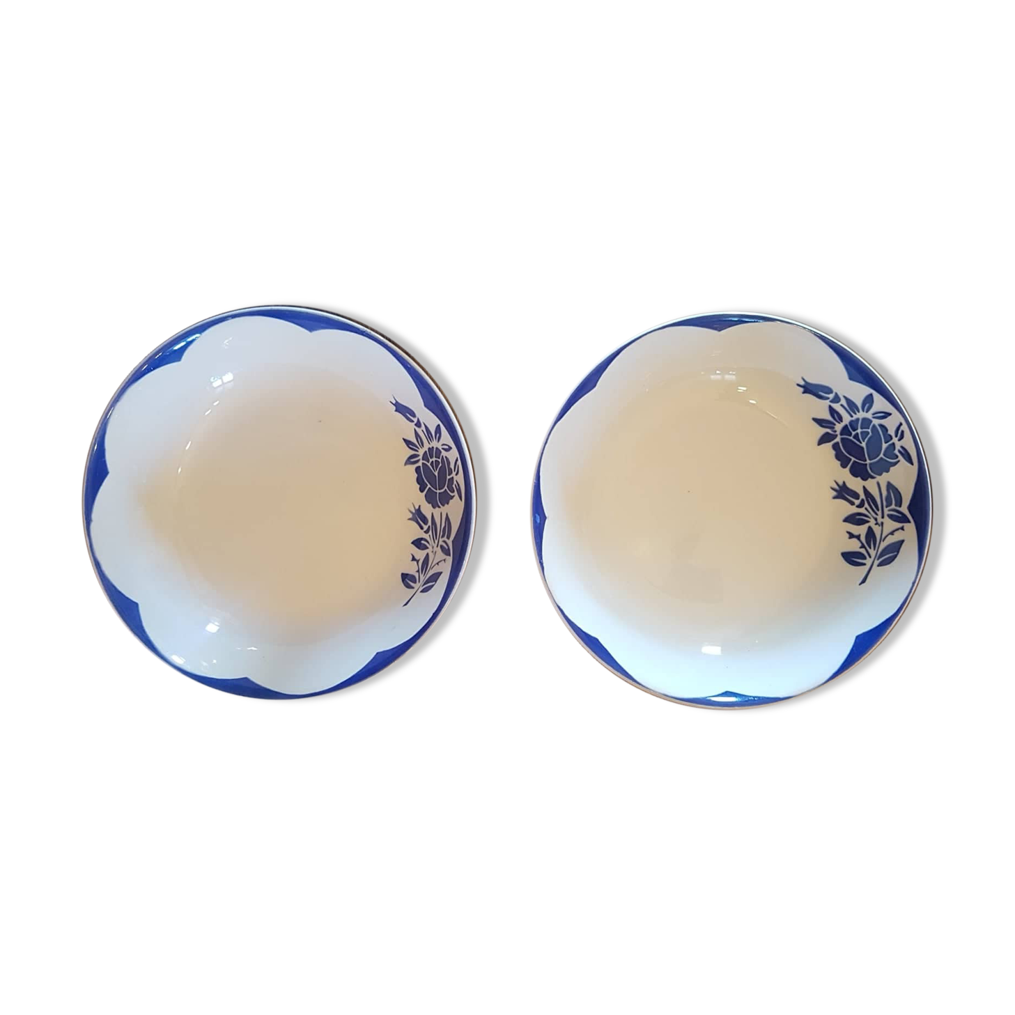 Set of 2 plates digoin sarreguemines model corsica